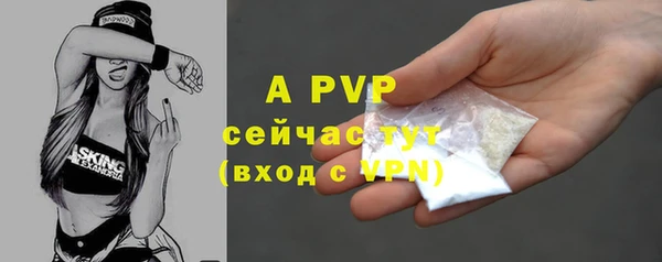 крисы Нея