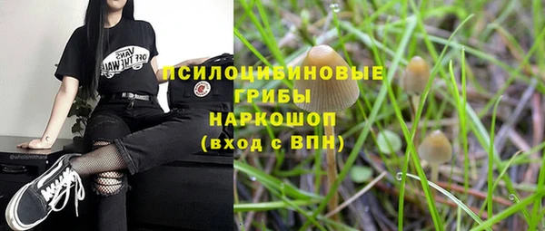 крисы Нея