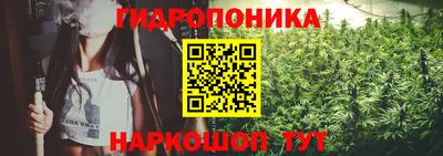 ешки Абакан