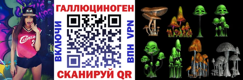 Галлюциногенные грибы Psilocybe  Алейск 