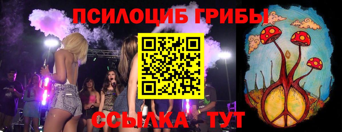 Алейск  Псилоцибиновые грибы Psilocybine cubensis  Псилоцибиновые грибы Psilocybe  Вход с VPN 