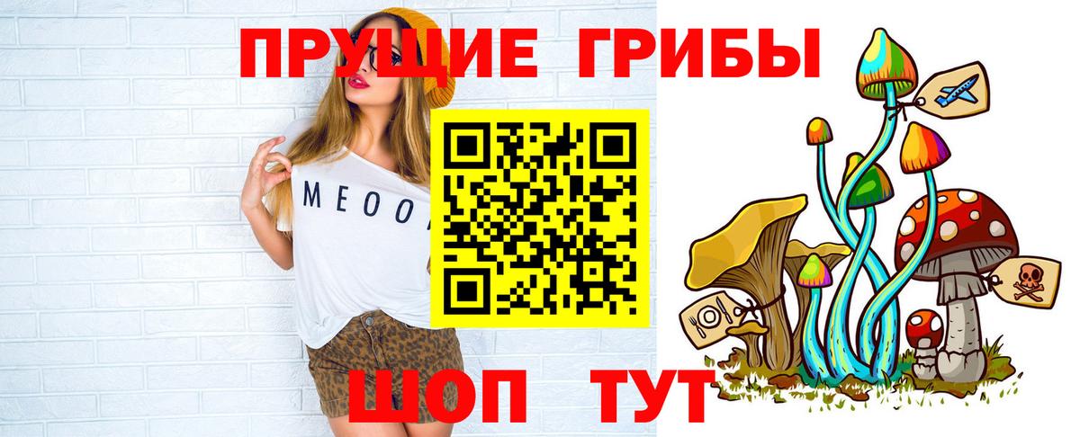 Алейск  Галлюциногенные грибы Psilocybine cubensis  Вход с VPN 