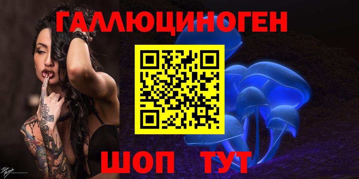 A PVP Алейск